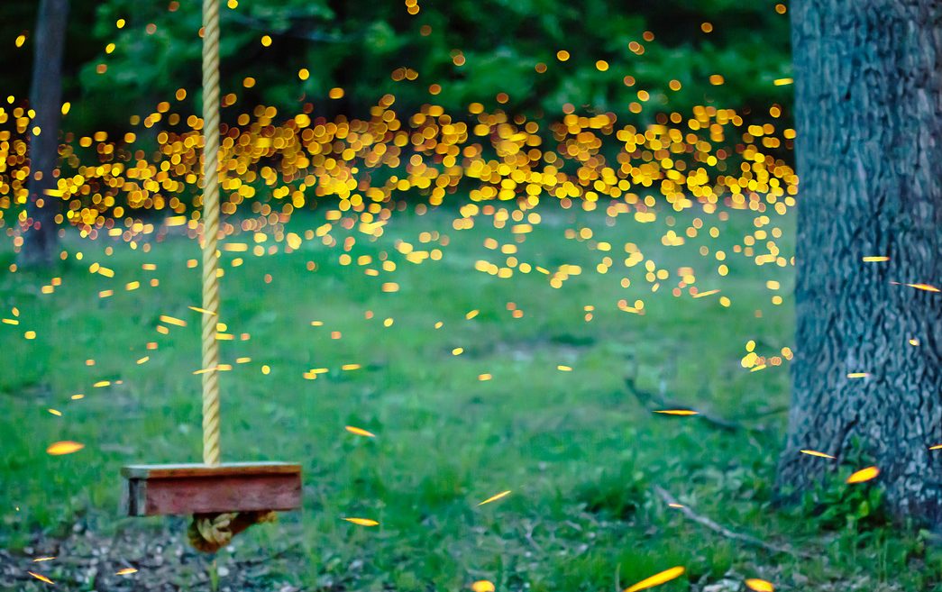 Flashlights and fireflies: An Ode a Retro Summer