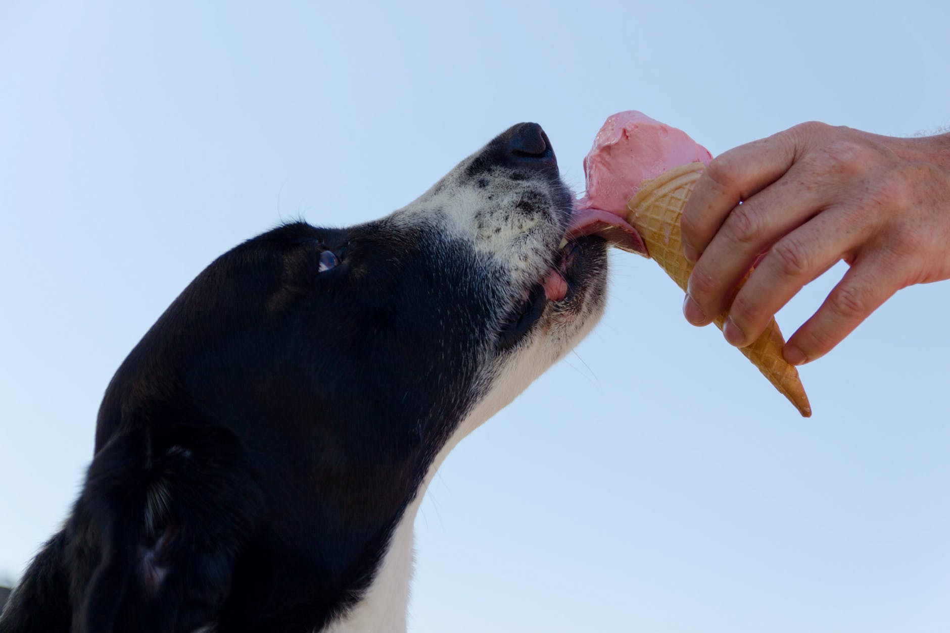 Chill out & read in honor of National Ice Cream Month