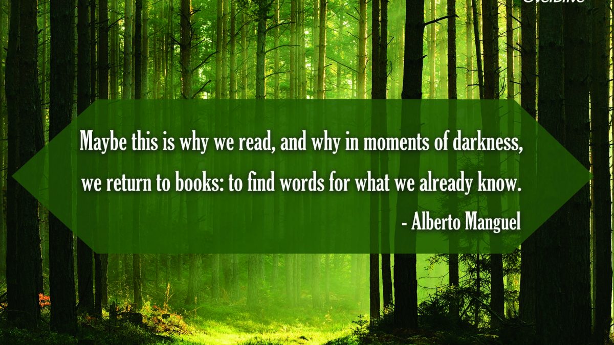 words we already know quote on green wooded backdrop feature image
