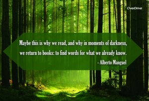 words we already know quote on green wooded backdrop feature image