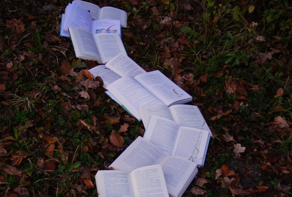 path of open books on grass and leaves