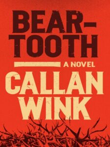 Book cover of "Beartooth" by Callan Wink