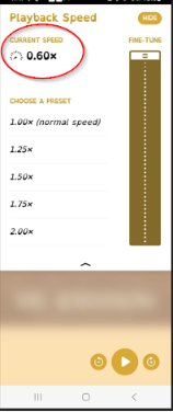 Sora playback speeds.