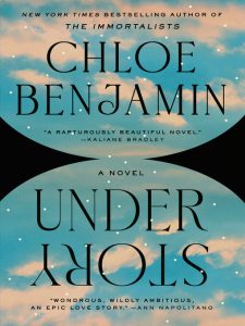 Book cover of "Under Story" by Chloe Benjamin