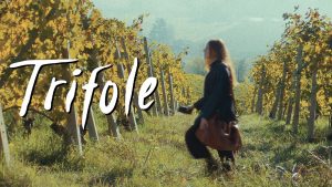 Film poster of "Trifole"